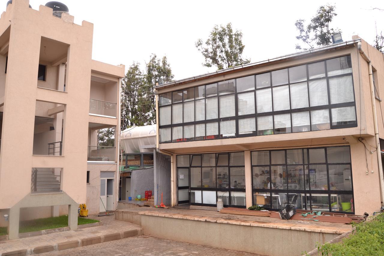 Grand Gato Hotel And Tours Harar Exterior photo